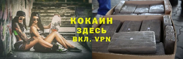 сатива Алзамай