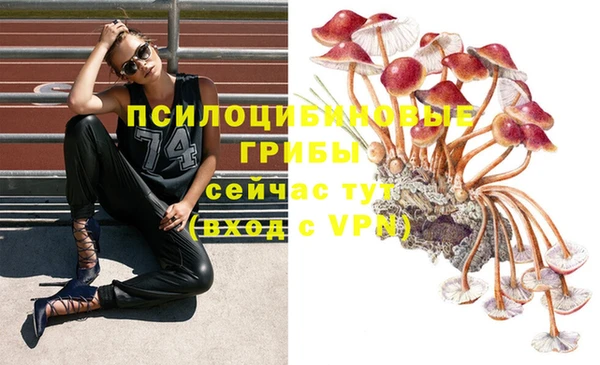 сатива Алзамай