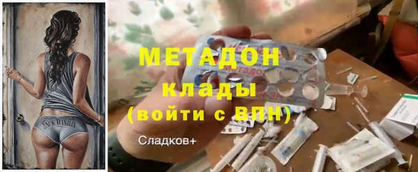 сатива Алзамай